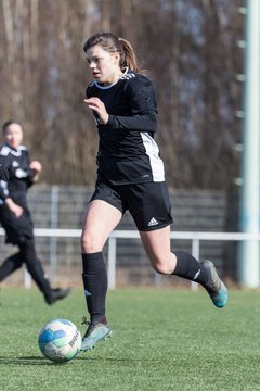 Bild 117 - F TSV Bordesholm - SG Blau Rot Holstein : Ergebnis: 3:0